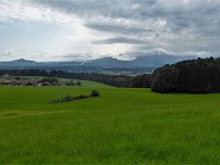 Johannishögl004