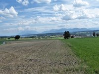 Johannishögl025