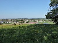 Fischkare014